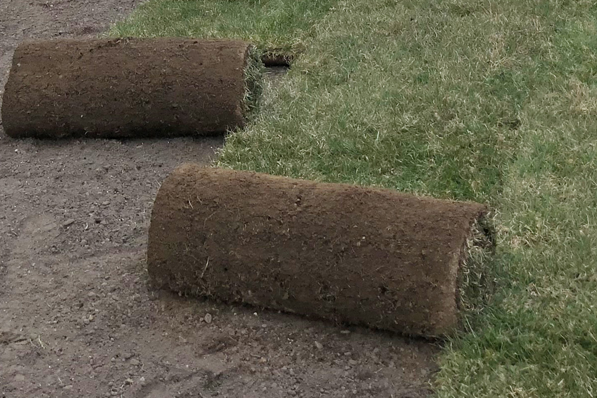 Detail of Sod Installation