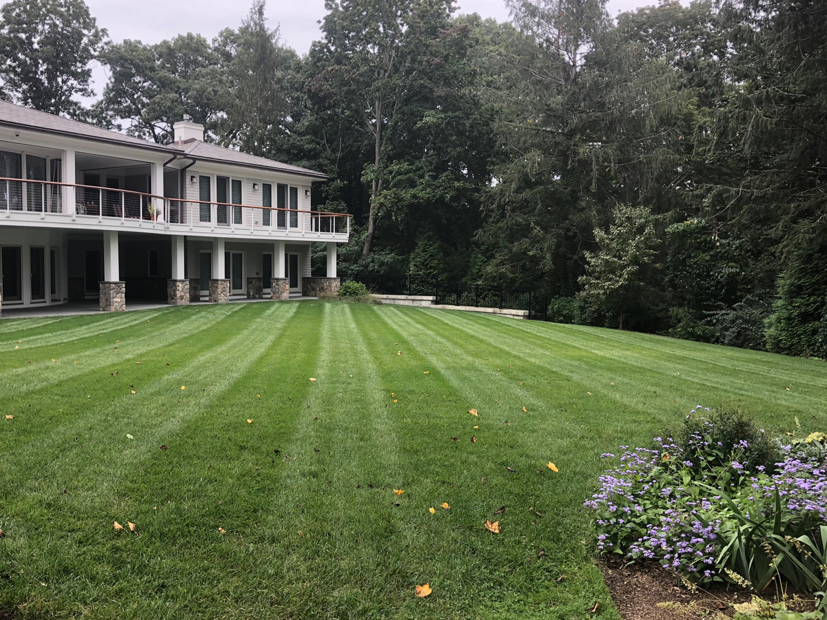 Sod Installation and Lawn Care